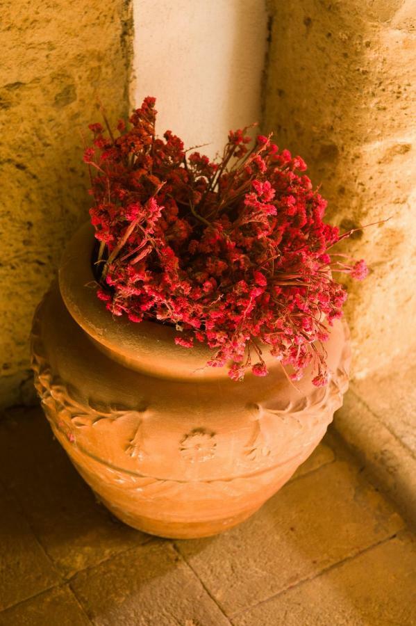 Appartement Palazzo Contino à Bagnoregio Extérieur photo